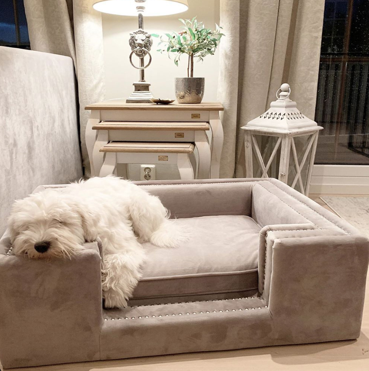 luxury-pet-bed